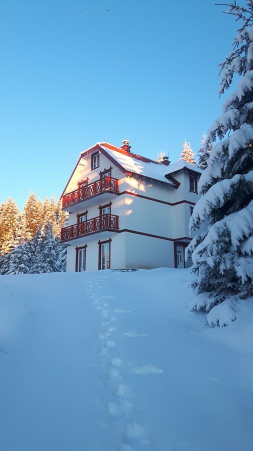 Vila Natasa Kopaonik Exterior photo