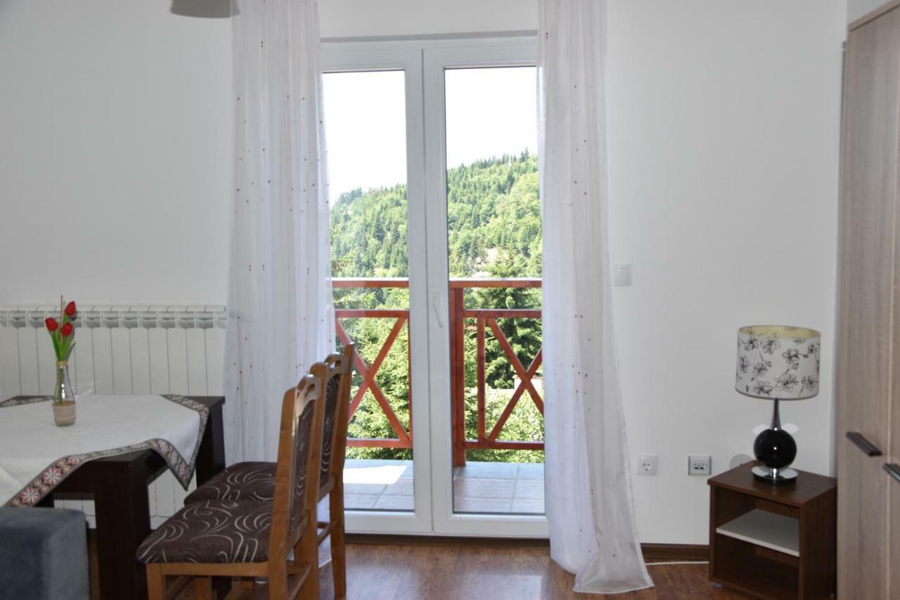 Vila Natasa Kopaonik Exterior photo